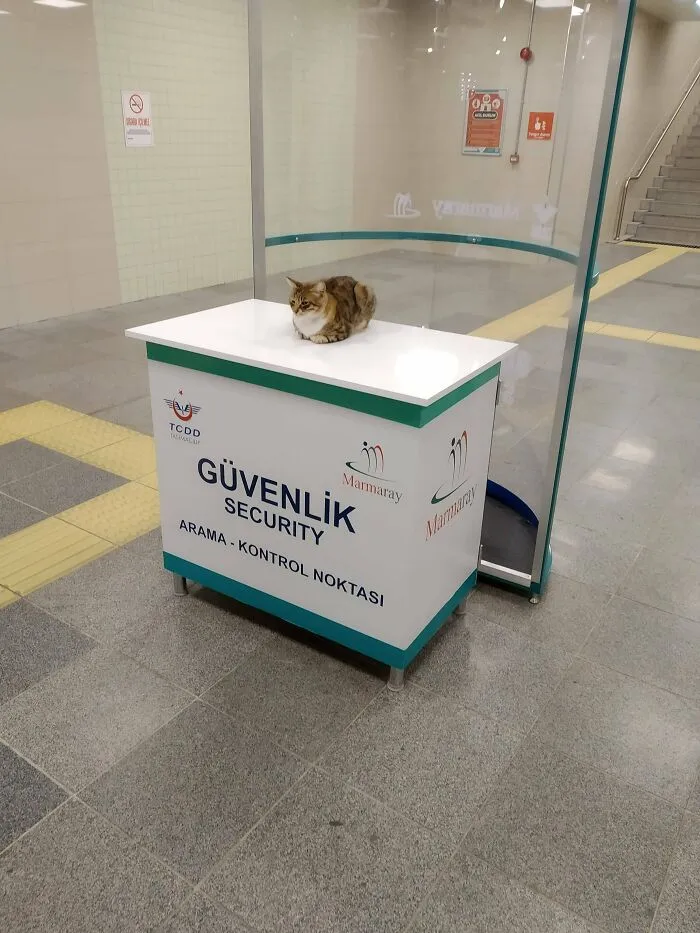 The Security Guy In Istanbul, Turkey
