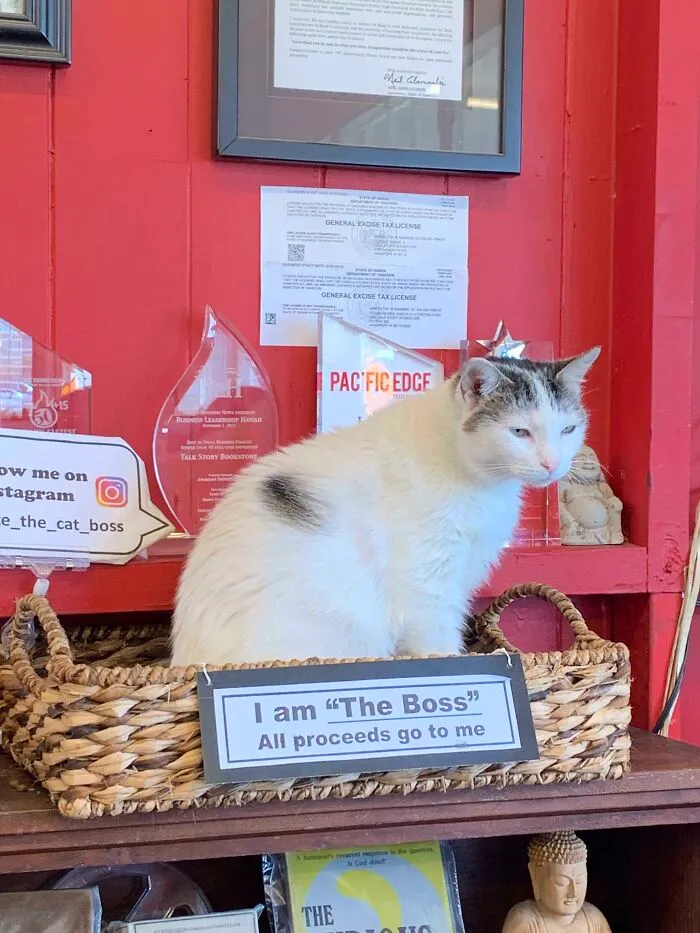 Bookstore Employee In Kaui’i