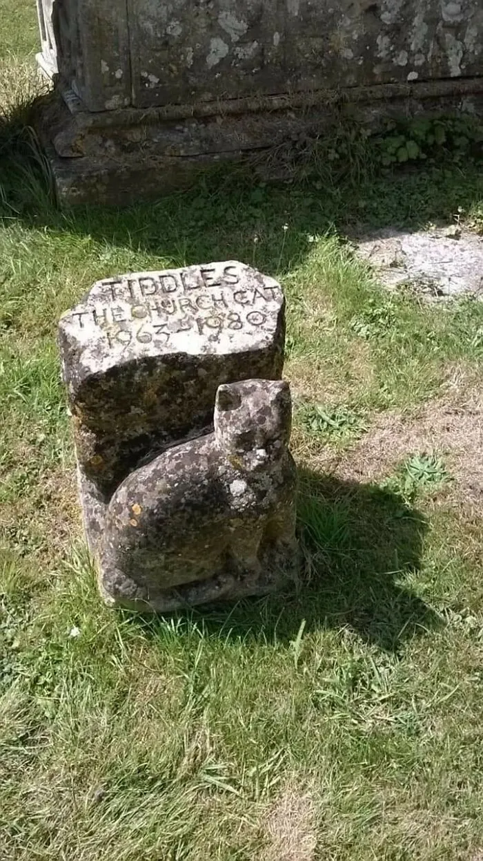 Shout Out To Tiddles For Almost 20 Years Of Church Cat Service