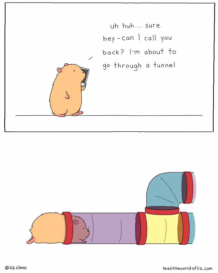 The Simpsons Animator Illustrates Awkward Everyday Moments Of These Wholesome Animals (30 New Pics)
