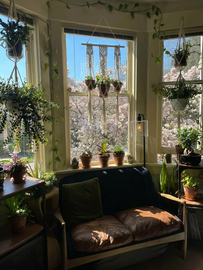 Mi pequeño y cómodo apartamento
