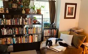 People Are Sharing Their Cozy Places And The Pics Look Very Inviting (40 Pics)