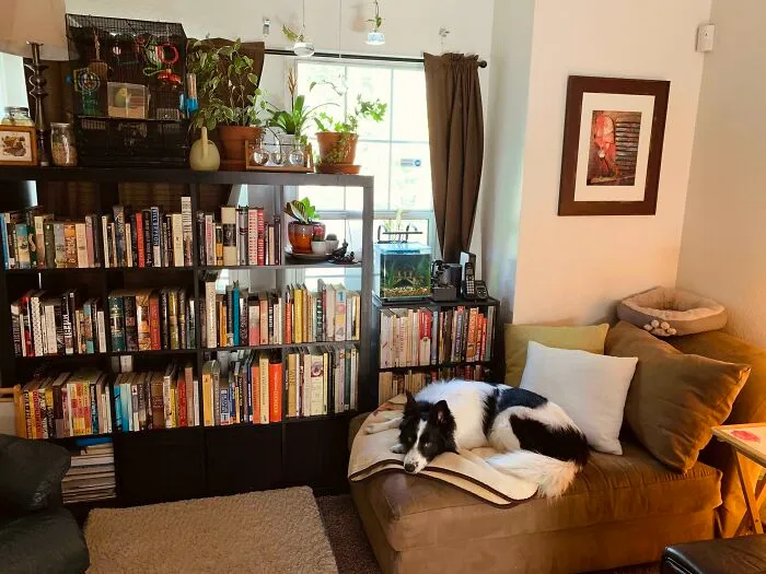 Mi placentera zona de lectura