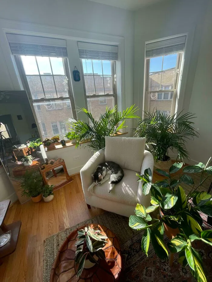 Mi patio/comedor interno