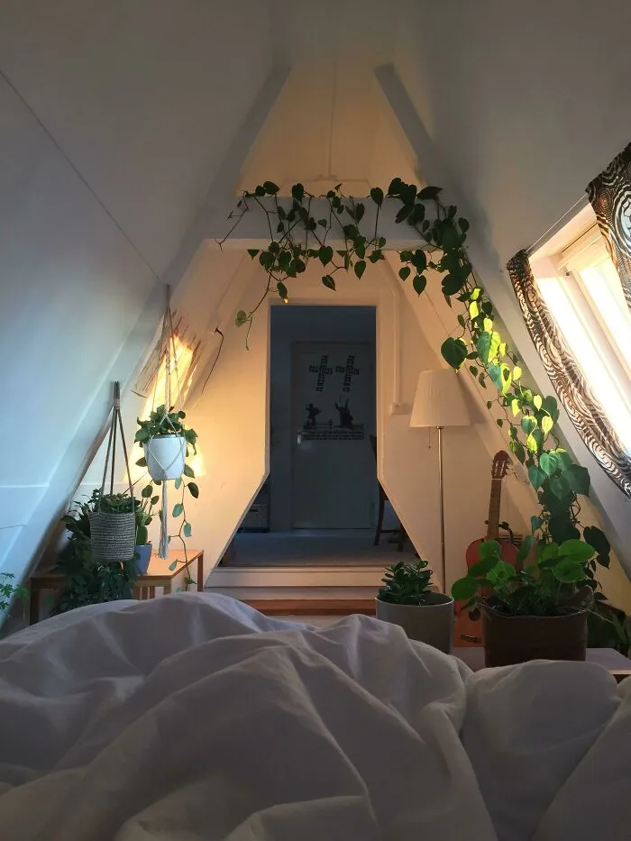El rincón donde duermo en Amsterdam