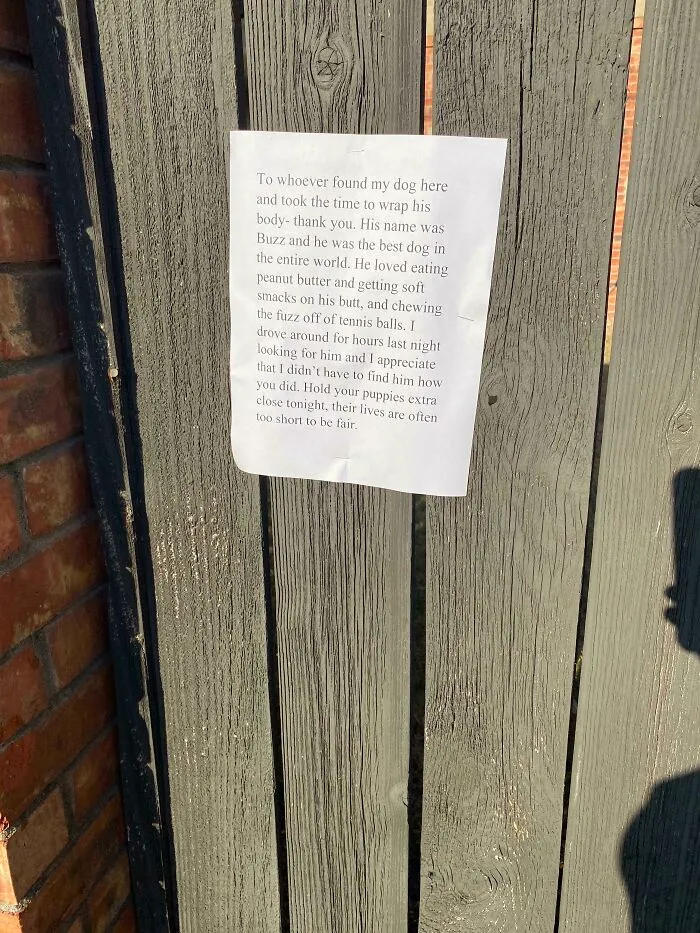Sad Find Today