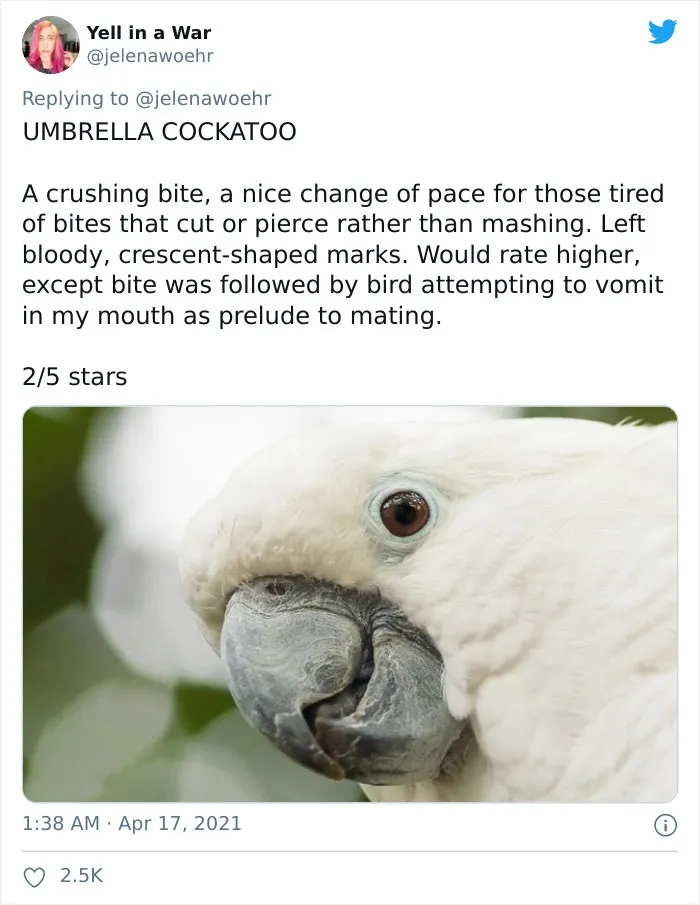 Woman On Twitter Educates People On Getting Bitten By These 20 Different Animals