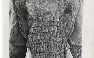 Hey Pandas, Post The Piece Of Artwork That Took You The Longest To Make (Closed)