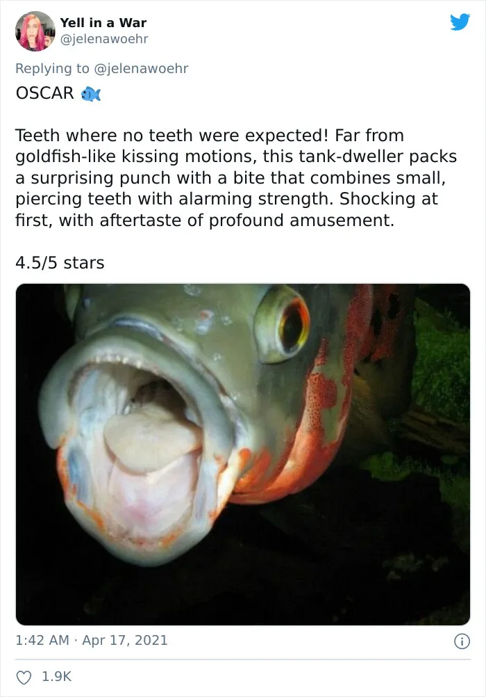Woman On Twitter Educates People On Getting Bitten By These 20 Different Animals