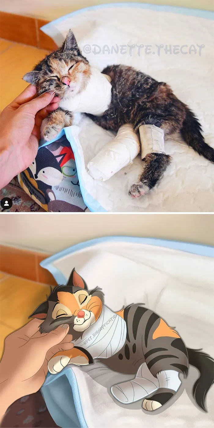 La gente envía fotos de sus mascotas a esta artista y ella las disneyfica (30 imágenes nuevas)