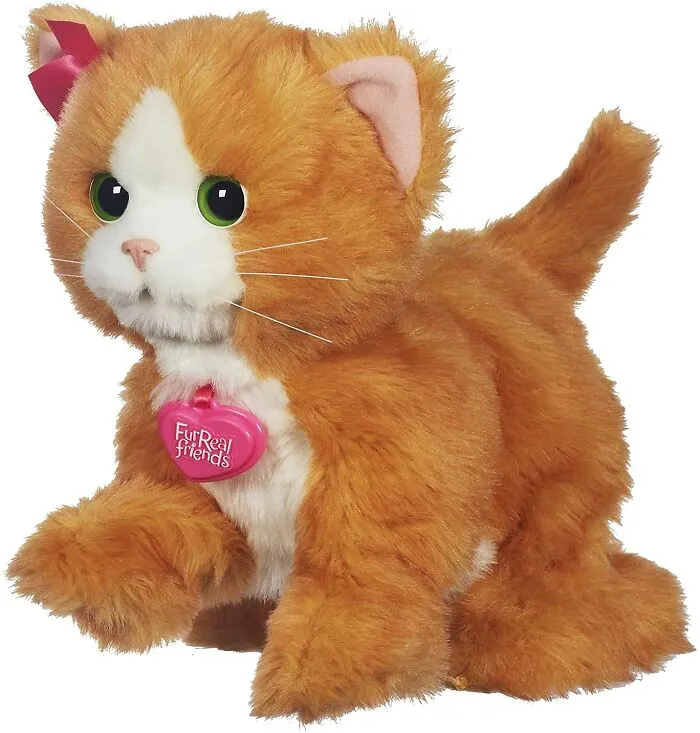 The Cat I Never Had