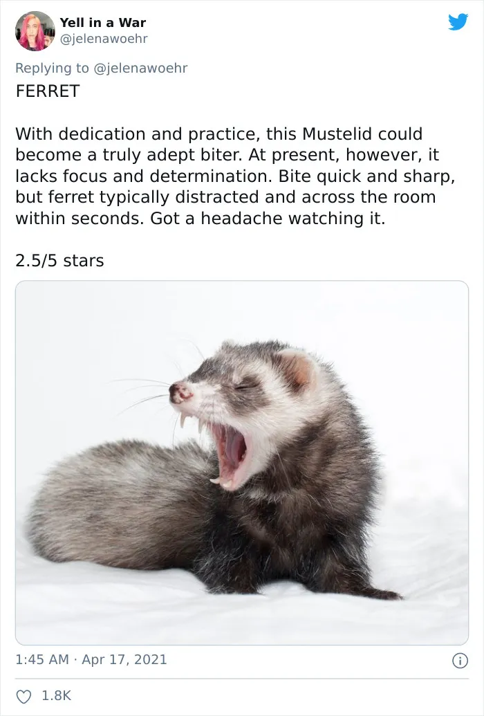 Woman On Twitter Educates People On Getting Bitten By These 20 Different Animals