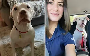 50 Of The Most Wholesome Rescue Pet Photos This April
