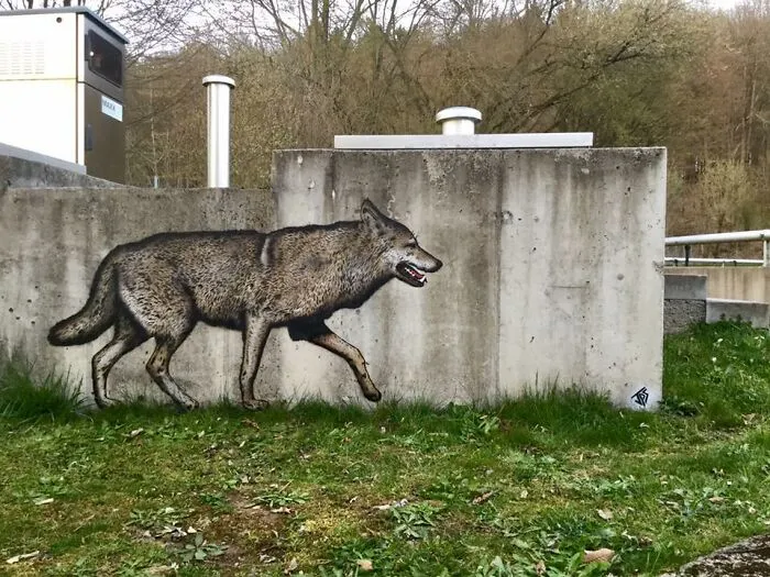 Un artista hace que las calles sean menos aburridas creando grafitis que interactúan con el entorno (30 nuevas fotos)