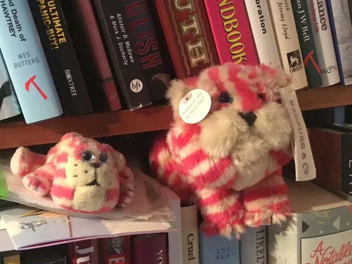 Bagpuss