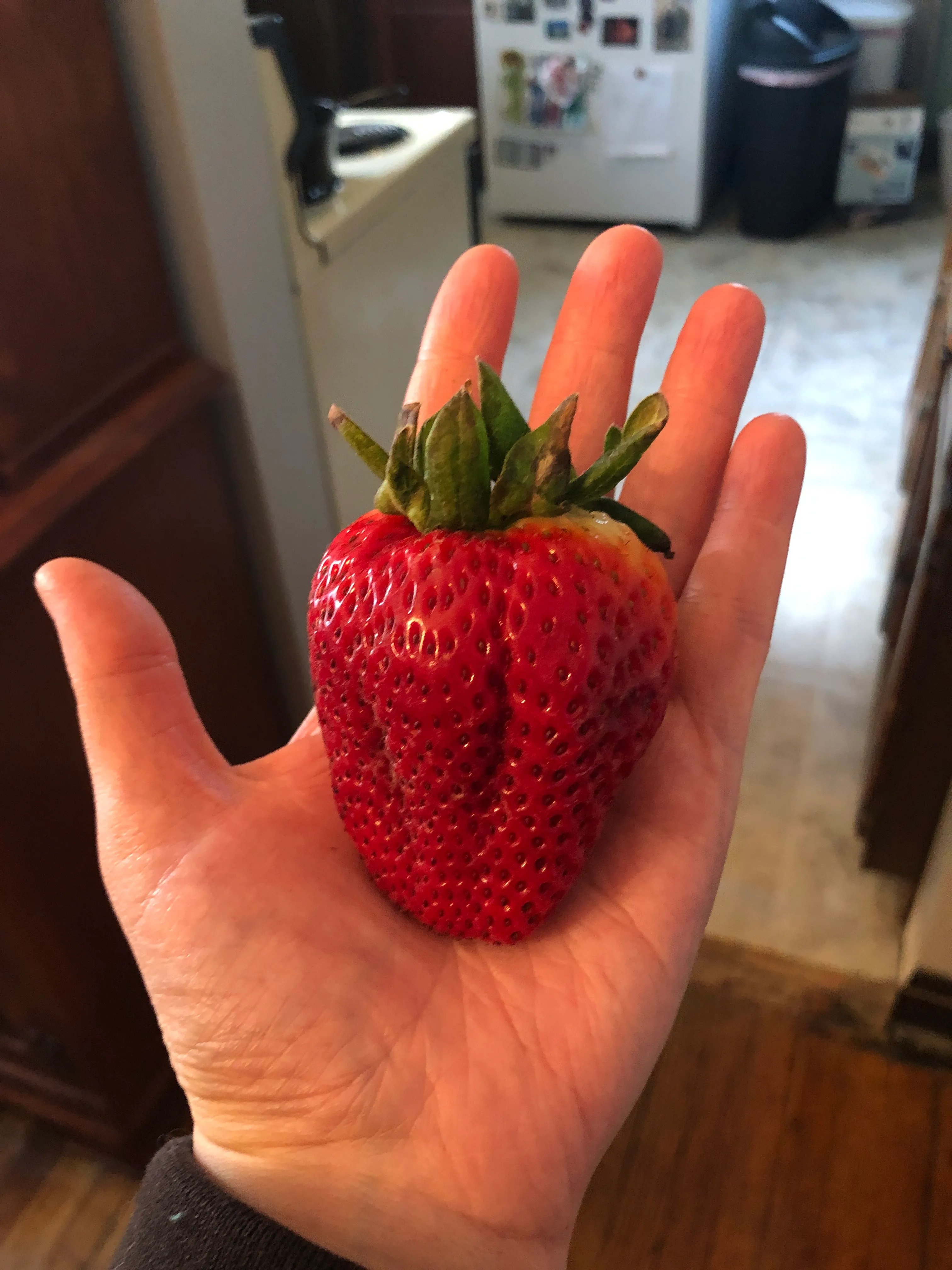 This Here Unit Of A Strawberry