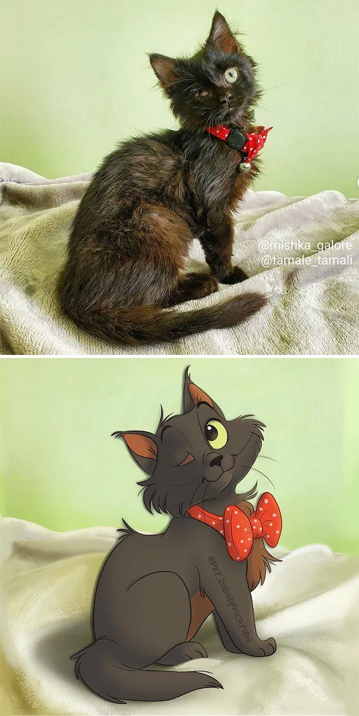 La gente envía fotos de sus mascotas a esta artista y ella las disneyfica (30 imágenes nuevas)