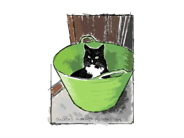 He Likes To Sit In Things And Meditate Upon Why He Likes To Sit In Things