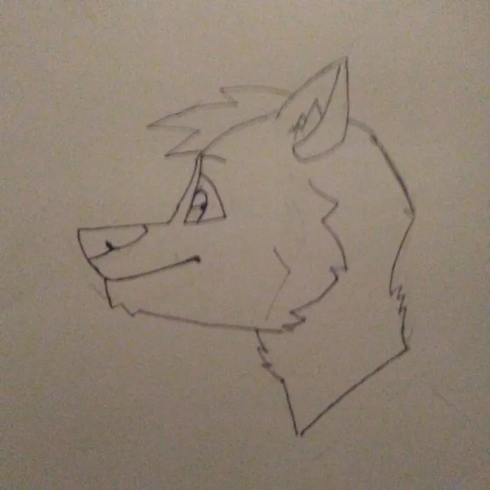 My Brother Drew This