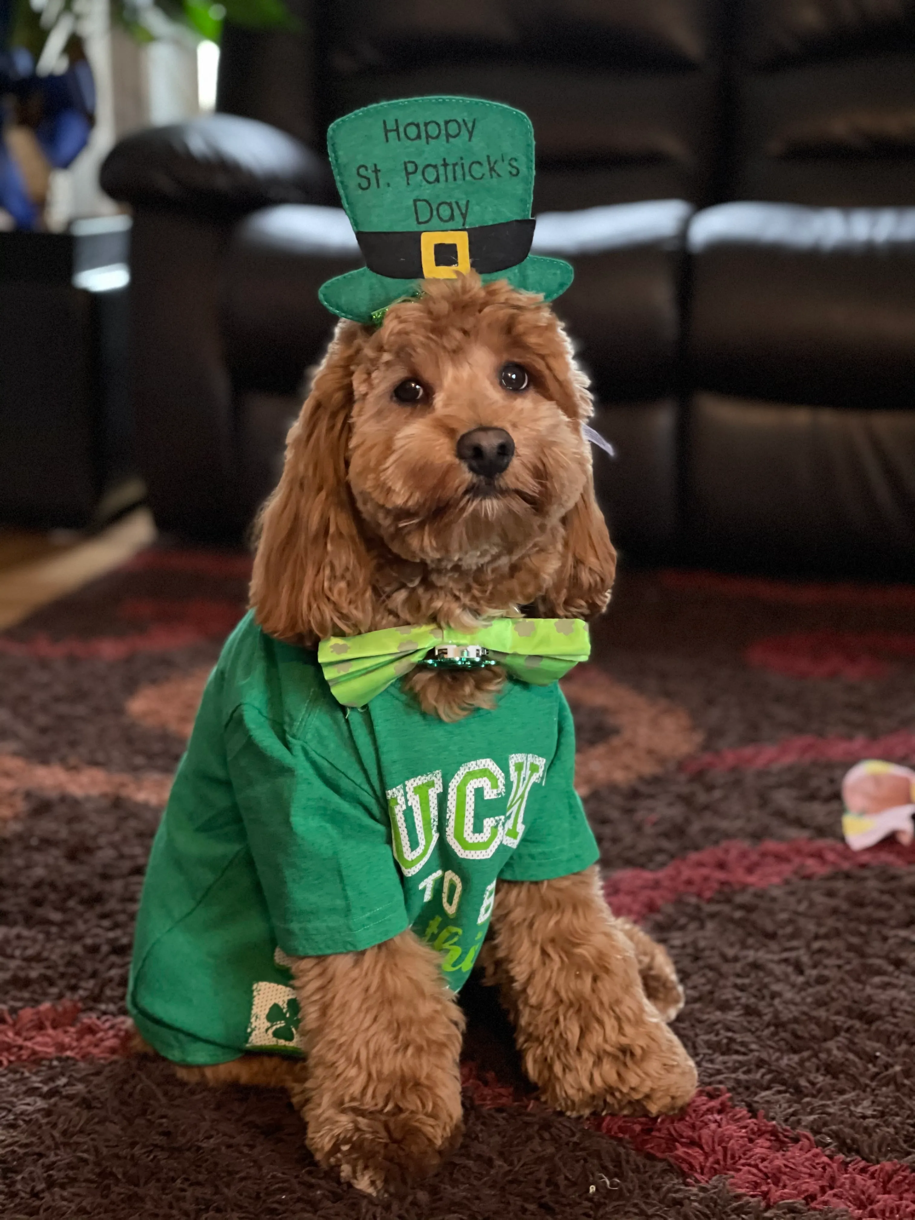 Happy St Pattys