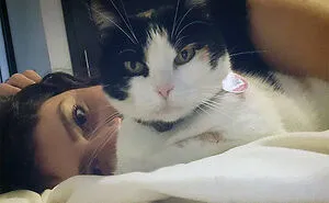 “What Is The Stupidest Thing You’ve Seen Your Pet Do?” (40 Answers)