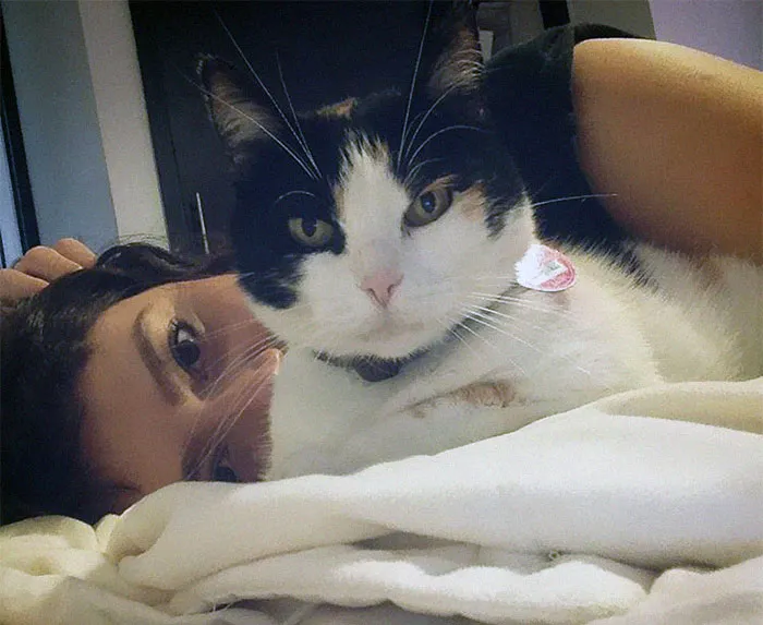 "¿Cuál es la cosa más estúpida que has visto hacer a tu mascota?" (30 respuestas)
