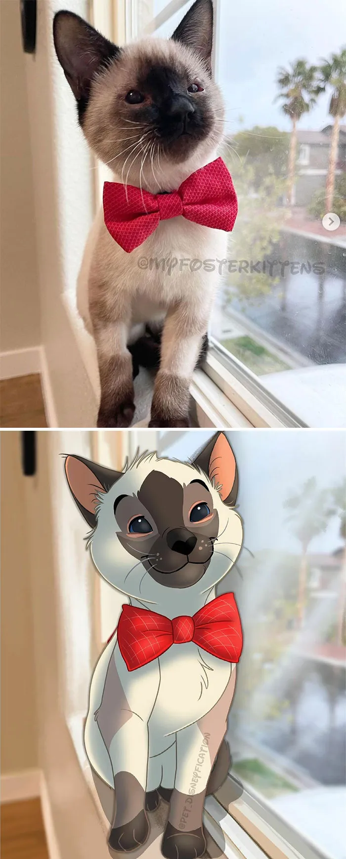 People Send Pics Of Their Pets To This Artist And She Disneyfies Them (30 New Pics)