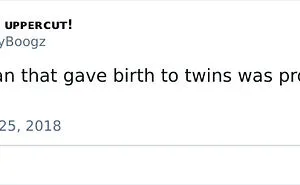 35 Of The Funniest Tweets About Being A Parent To Twins