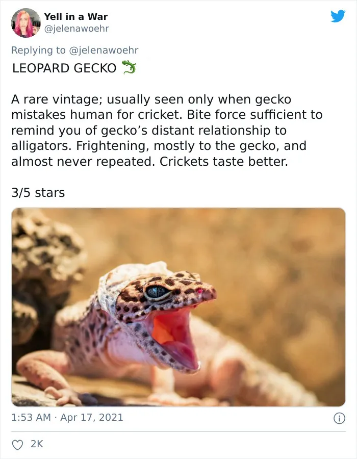 Woman On Twitter Educates People On Getting Bitten By These 20 Different Animals