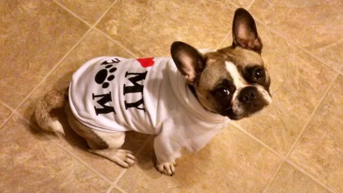 My Little Snoop