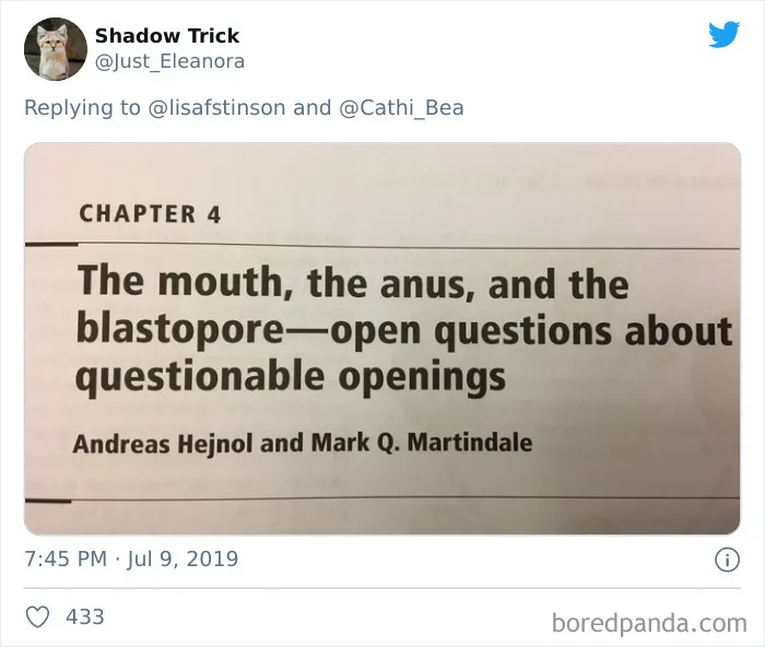 30 Paper Titles From Scientists With A Sense Of Humor, As Shared On This Twitter Thread