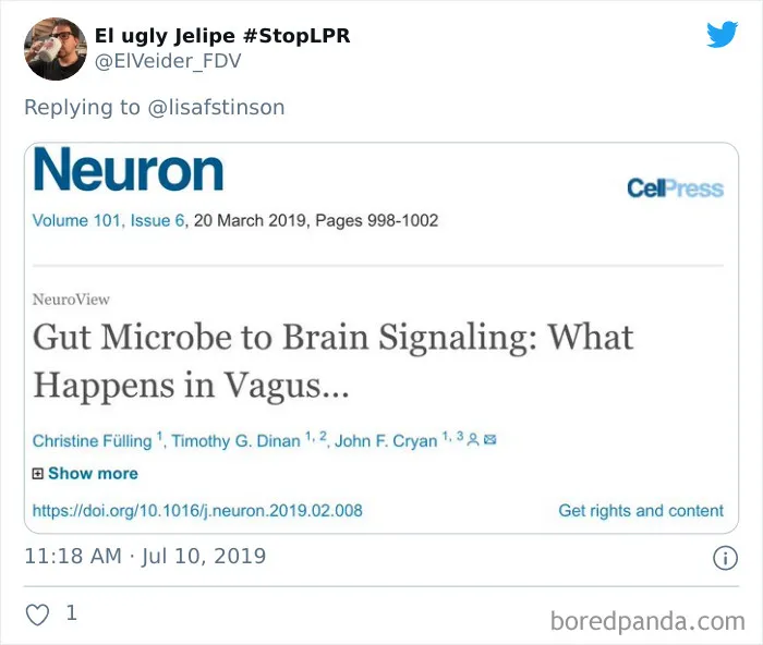 30 Paper Titles From Scientists With A Sense Of Humor, As Shared On This Twitter Thread