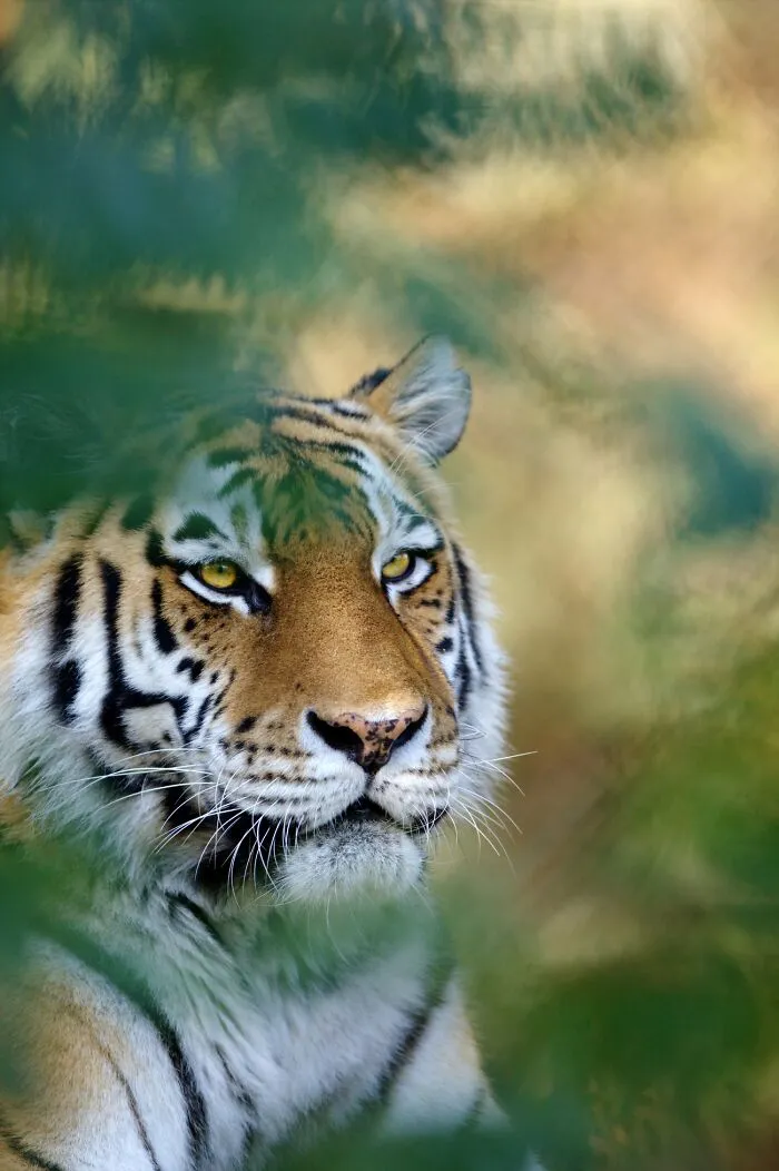 I’ve Been Photographing Wildlife For 15 Years, Here Are My 30 All-Time Favorite Photos