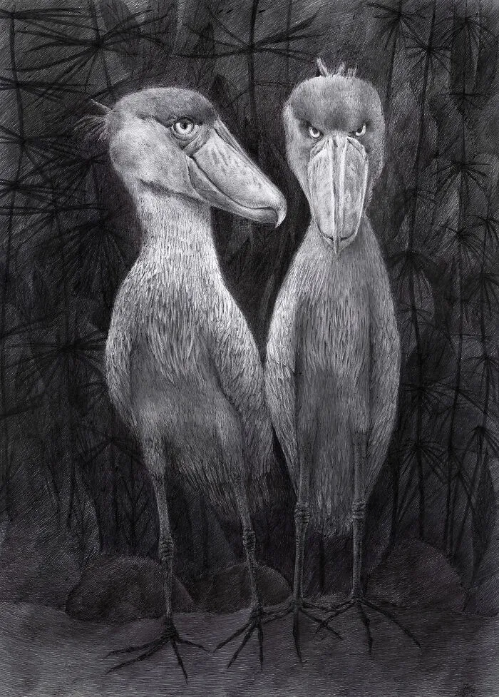 The Couple Of Whalehaeds