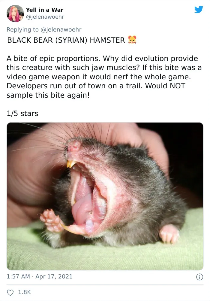 Woman On Twitter Educates People On Getting Bitten By These 20 Different Animals