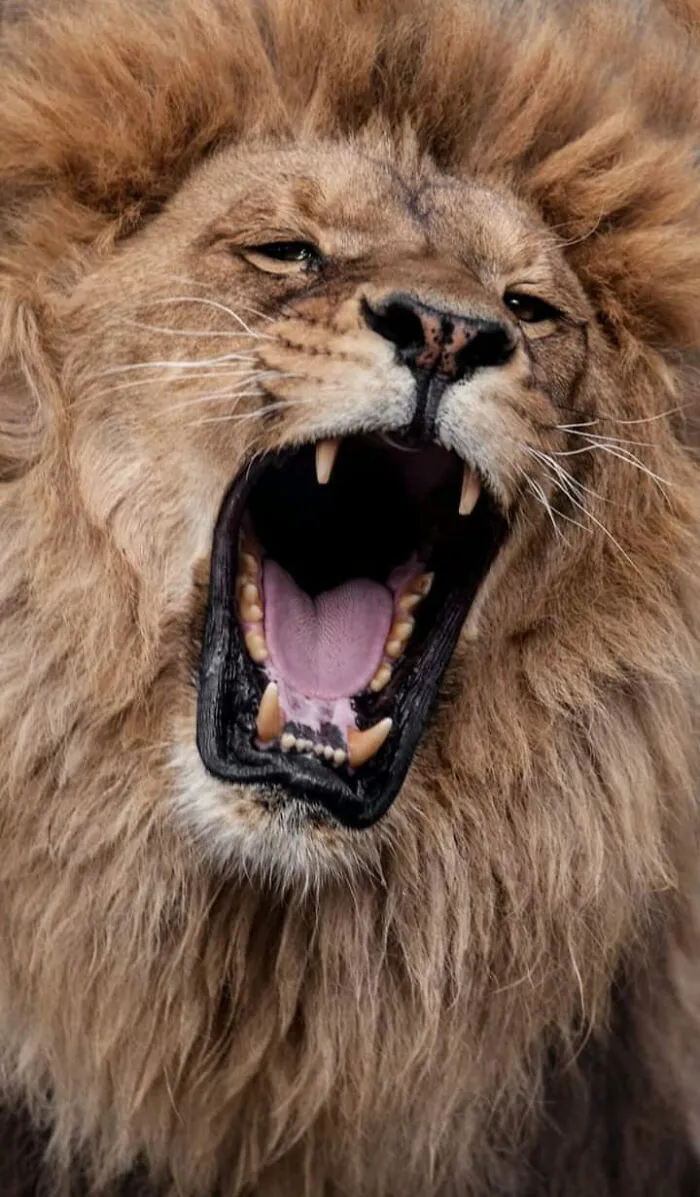 I’ve Been Photographing Wildlife For 15 Years, Here Are My 30 All-Time Favorite Photos
