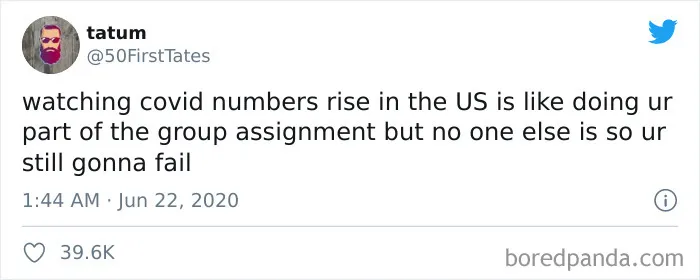 30 Times People Had Such Terrible Group Project Members, They Decided To Shame The Jerks Online