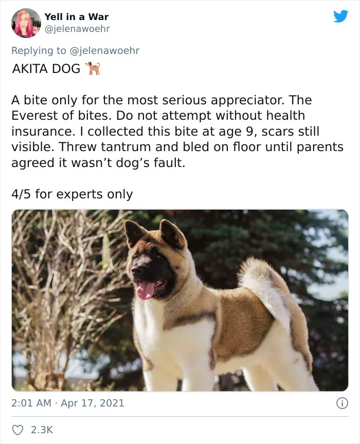 Woman On Twitter Educates People On Getting Bitten By These 20 Different Animals
