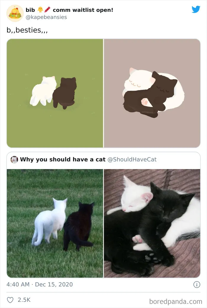 'Bib' Turns Funny Animal Pics Into Adorable Drawings And Here're 30 Of Their Cutest Works