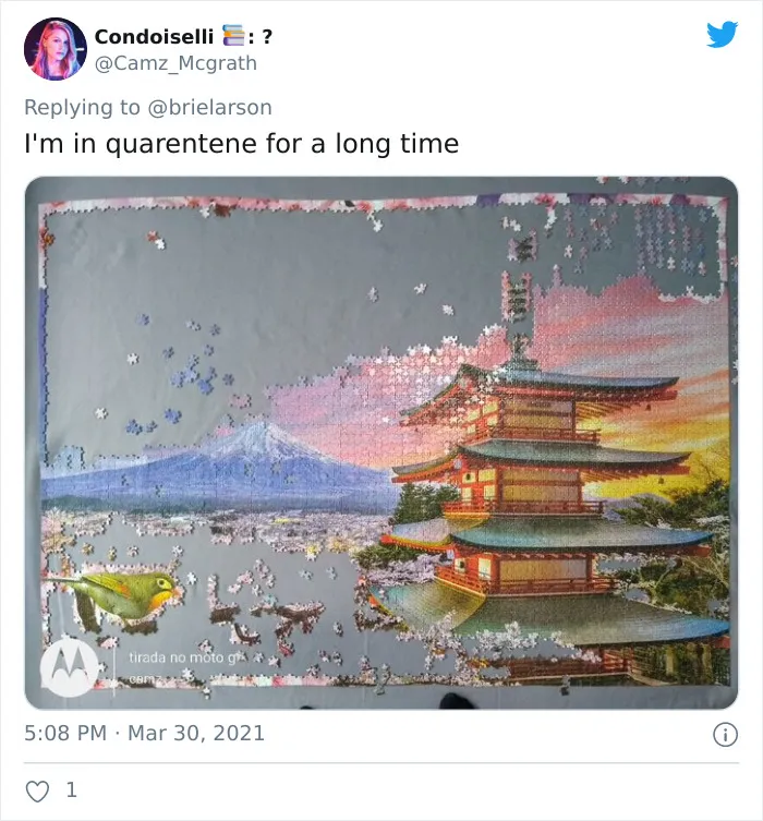 40 Twitter Users Share Pics Screaming ‘I’ve Been In Quarantine For Way Too Long’