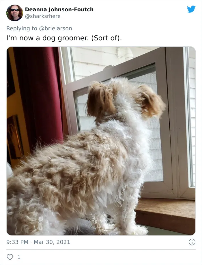 40 Twitter Users Share Pics Screaming ‘I’ve Been In Quarantine For Way Too Long’