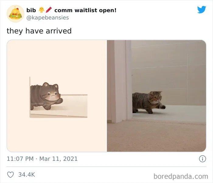 'Bib' Turns Funny Animal Pics Into Adorable Drawings And Here're 30 Of Their Cutest Works