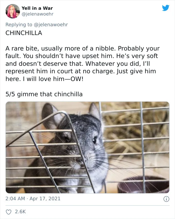 Woman On Twitter Educates People On Getting Bitten By These 20 Different Animals