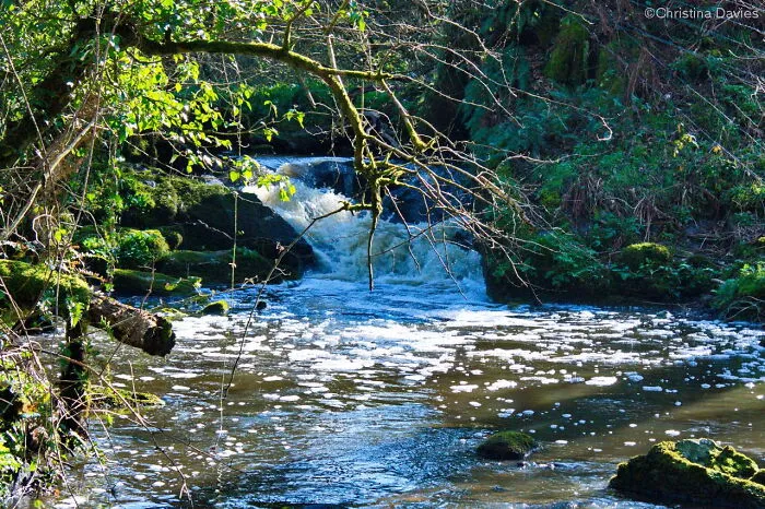 River