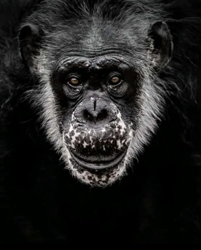 I’ve Been Photographing Wildlife For 15 Years, Here Are My 30 All-Time Favorite Photos