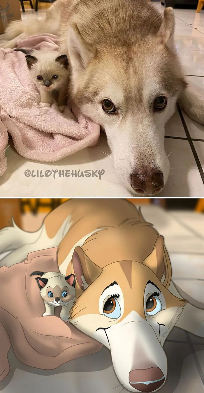 La gente envía fotos de sus mascotas a esta artista y ella las disneyfica (30 imágenes nuevas)