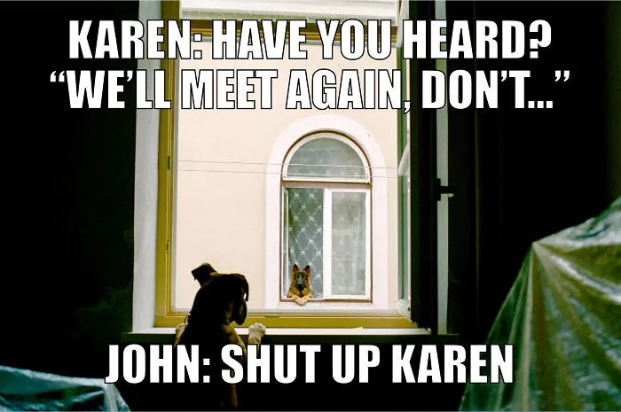 17 Spot-On Funny Pet Memes About Quarantine By Comedy Pet Photo Awards