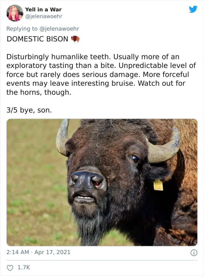 Woman On Twitter Educates People On Getting Bitten By These 20 Different Animals