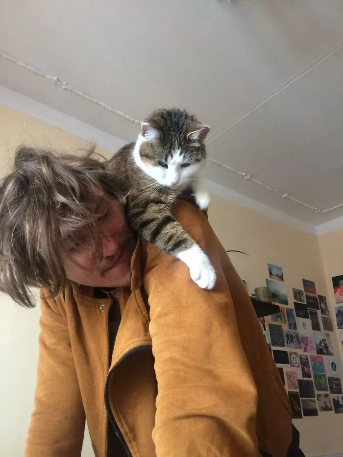 The Climber