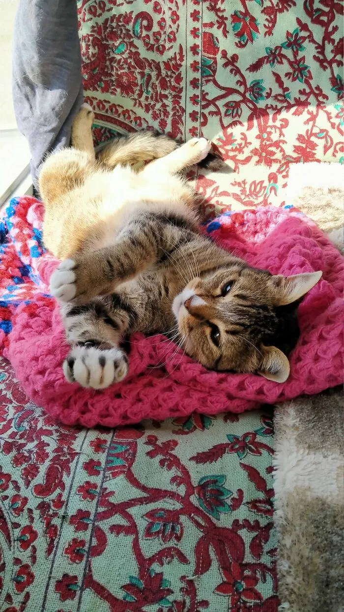 Miette